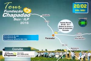 Sindicato Rural Tour Soja/ILP-F 2016 será realizado dia 20/02