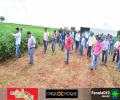 Sindicato Rural e Fundação Chapadão apresentaram Tour Soja 2017 em Paranaíba - MS