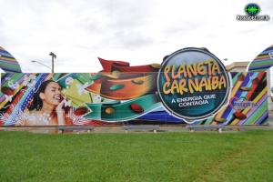 Carnaíba - 2011