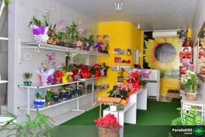 Floricultura Girassol - Paranaíba - MS - Guia Comercial - ParadaDEZ