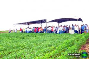 Dia de campo de plantio de soja em Paranaíba