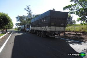 PMA autua em R$ 66 mil proprietários de cargas de carvão ilegais
