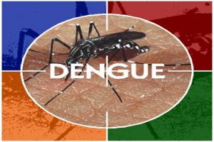 Notificação de casos de dengue passa a ser diária em MS